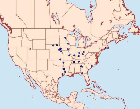 Distribution Data for Anania plectilis