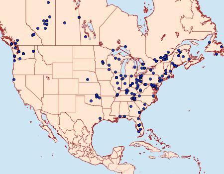 Distribution Data for Anania tertialis