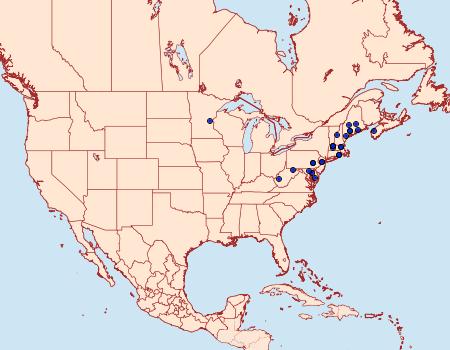 Distribution Data for Anania quebecensis