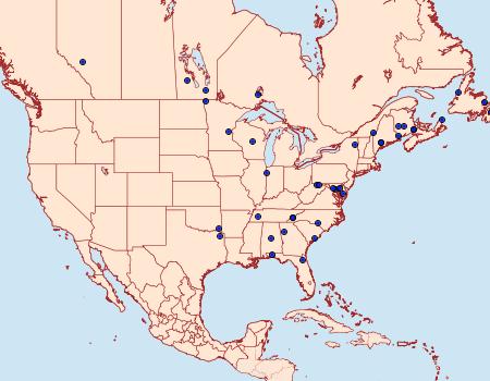 Distribution Data for Anania extricalis