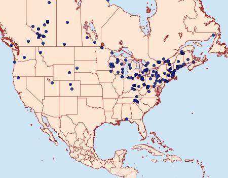 Distribution Data for Anania funebris