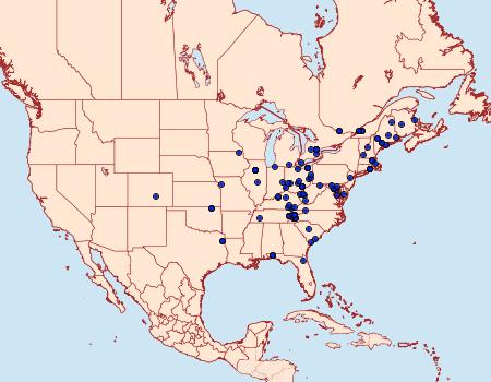 Distribution Data for Hahncappsia marculenta