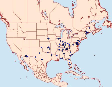 Distribution Data for Hahncappsia mancalis