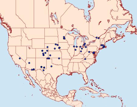 Distribution Data for Hahncappsia pergilvalis