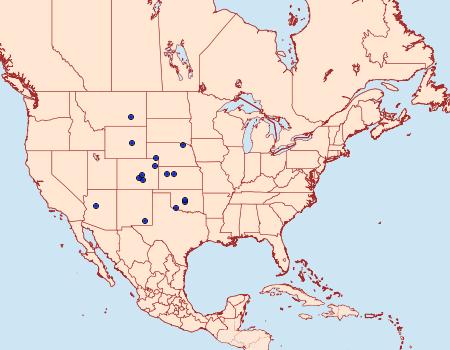 Distribution Data for Hahncappsia coloradensis