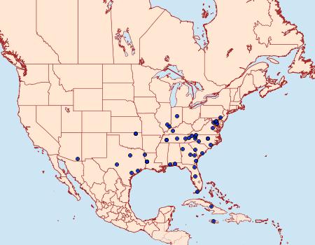 Distribution Data for Neohelvibotys neohelvialis