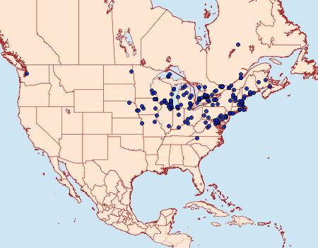 Distribution Data for Sitochroa palealis