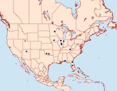 Distribution Data for Sitochroa dasconalis