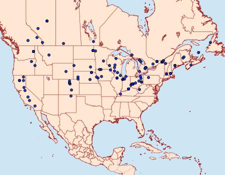 Distribution Data for Sitochroa chortalis