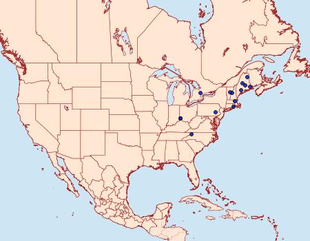 Distribution Data for Bucculatrix cuneigera