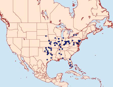 Distribution Data for Sericoplaga externalis