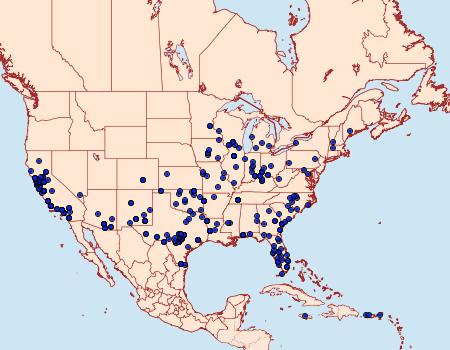 Distribution Data for Uresiphita reversalis