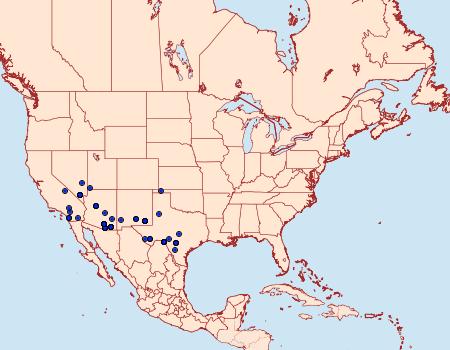 Distribution Data for Loxostege albiceralis