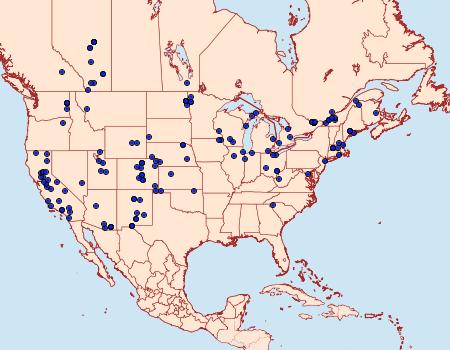 Distribution Data for Loxostege munroealis