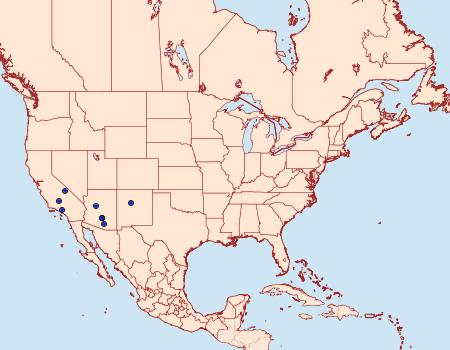 Distribution Data for Loxostege quaestoralis