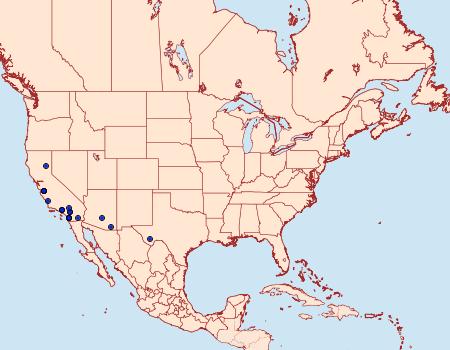 Distribution Data for Pyrausta zonalis