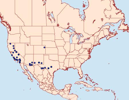 Distribution Data for Pyrausta lethalis