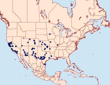 Distribution Data for Pyrausta volupialis