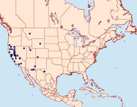 Distribution Data for Pyrausta grotei