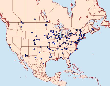 Distribution Data for Pyrausta signatalis