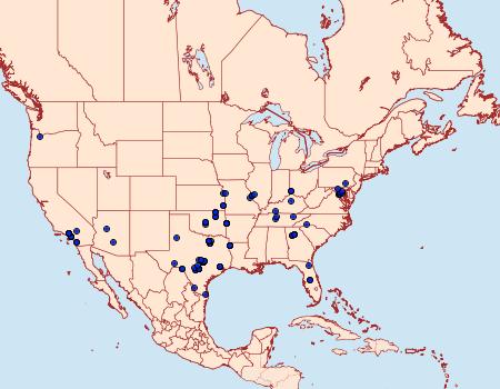 Distribution Data for Pyrausta inornatalis