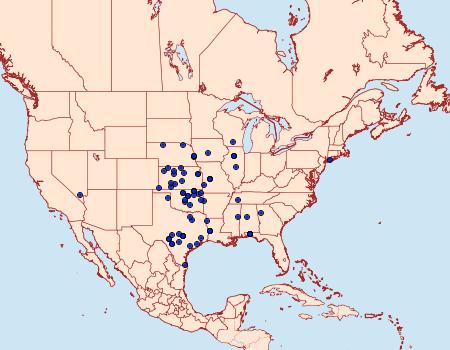 Distribution Data for Pyrausta onythesalis