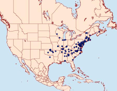 Distribution Data for Pyrausta rubricalis