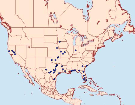 Distribution Data for Pyrausta pseuderosnealis