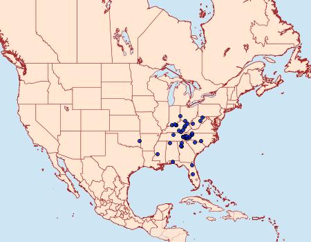 Distribution Data for Pyrausta homonymalis