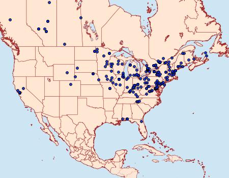 Distribution Data for Pyrausta orphisalis