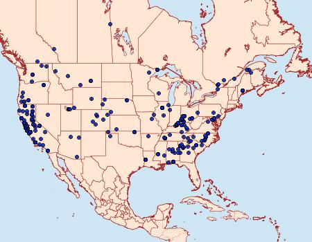 Distribution Data for Pyrausta subsequalis