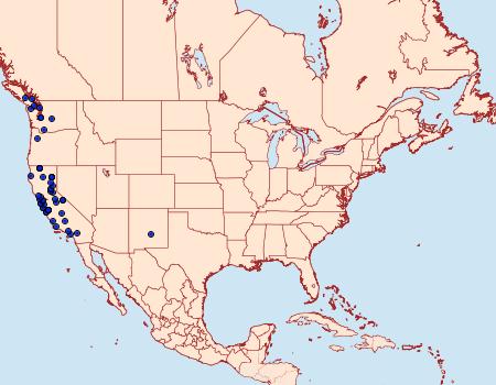 Distribution Data for Pyrausta perrubralis