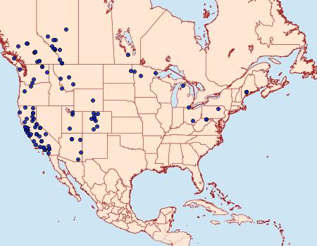 Distribution Data for Pyrausta unifascialis