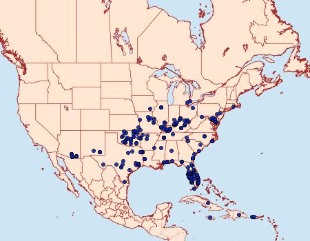 Distribution Data for Pyrausta tyralis