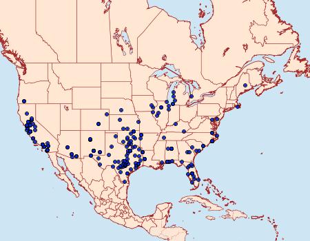 Distribution Data for Pyrausta laticlavia