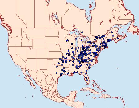 Distribution Data for Pyrausta acrionalis