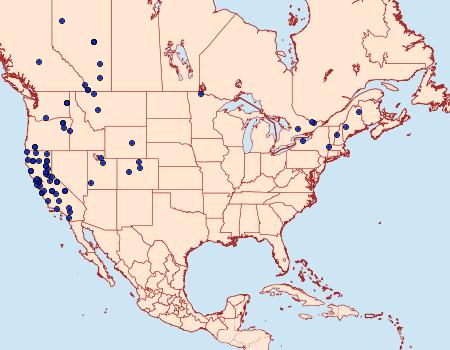 Distribution Data for Pyrausta fodinalis