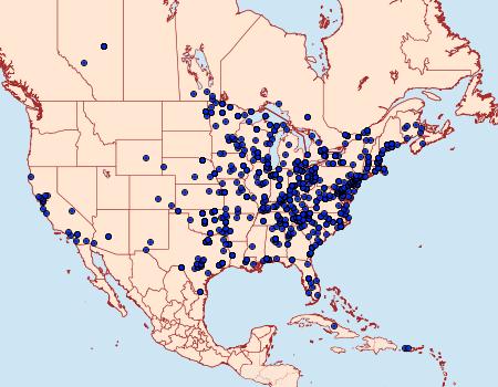 Distribution Data for Udea rubigalis