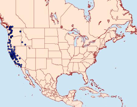 Distribution Data for Udea profundalis