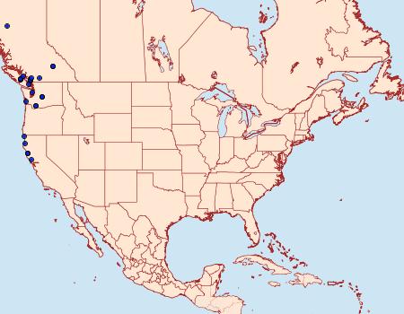 Distribution Data for Udea washingtonalis