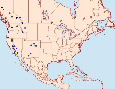 Distribution Data for Udea turmalis