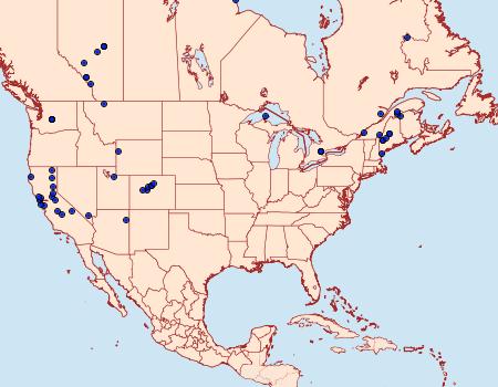 Distribution Data for Udea itysalis