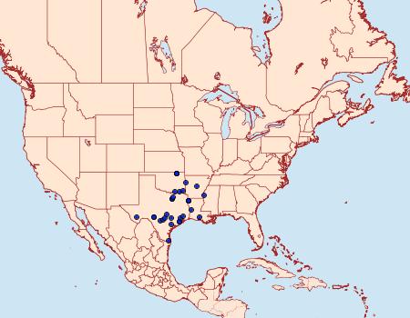 Distribution Data for Lamprosema victoriae