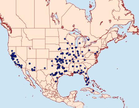 Distribution Data for Lineodes integra