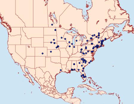 Distribution Data for Loxostegopsis merrickalis