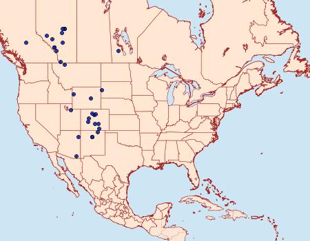 Distribution Data for Choristostigma plumbosignalis