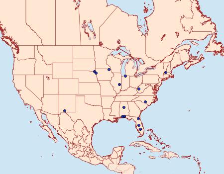 Distribution Data for Bucculatrix staintonella