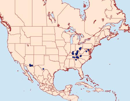 Distribution Data for Choristostigma roseopennalis