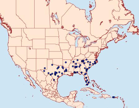 Distribution Data for Diacme elealis