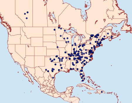 Distribution Data for Diacme adipaloides